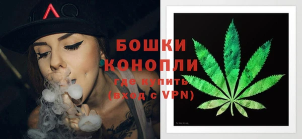 стаф Богородицк