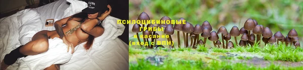 гашик Богородск