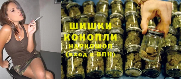 стаф Богородицк