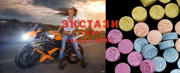 стаф Богородицк