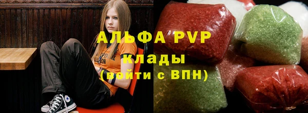 стаф Богородицк