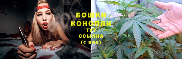 стаф Богородицк