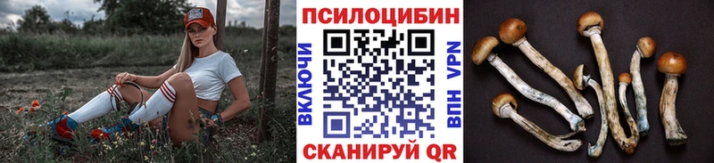 Псилоцибиновые грибы Cubensis  Смоленск 