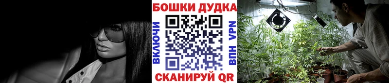 Каннабис конопля  Смоленск 